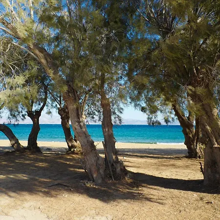 Casa Maia Piso Livadi